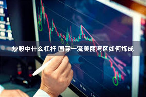 炒股中什么杠杆 国际一流美丽湾区如何炼成