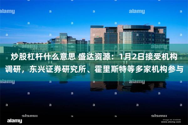 炒股杠杆什么意思 盛达资源：1月2日接受机构调研，东兴证券研究所、霍里斯特等多家机构参与