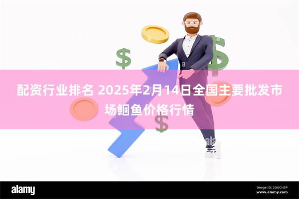 配资行业排名 2025年2月14日全国主要批发市场鮰鱼价格行情
