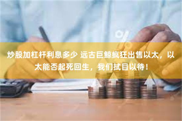 炒股加杠杆利息多少 远古巨鲸疯狂出售以太，以太能否起死回生，我们拭目以待！