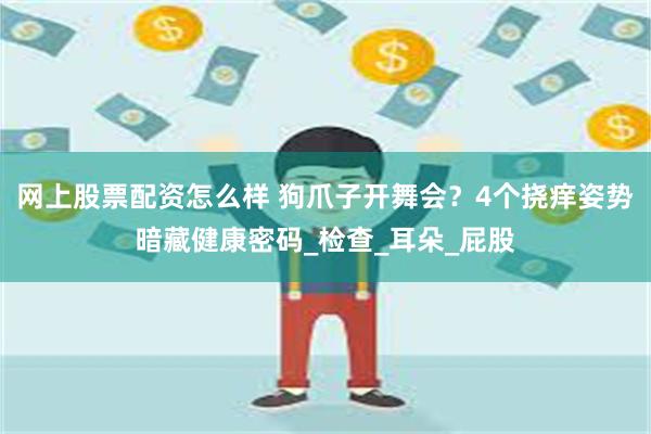 网上股票配资怎么样 狗爪子开舞会？4个挠痒姿势暗藏健康密码_检查_耳朵_屁股