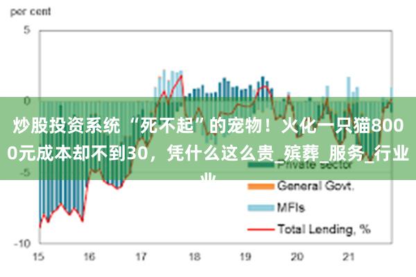 炒股投资系统 “死不起”的宠物！火化一只猫8000元成本却不到30，凭什么这么贵_殡葬_服务_行业