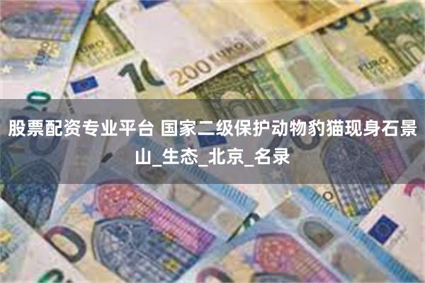 股票配资专业平台 国家二级保护动物豹猫现身石景山_生态_北京_名录