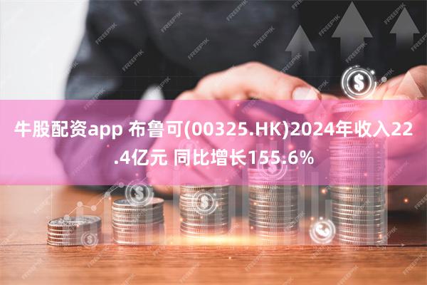 牛股配资app 布鲁可(00325.HK)2024年收入22.4亿元 同比增长155.6%