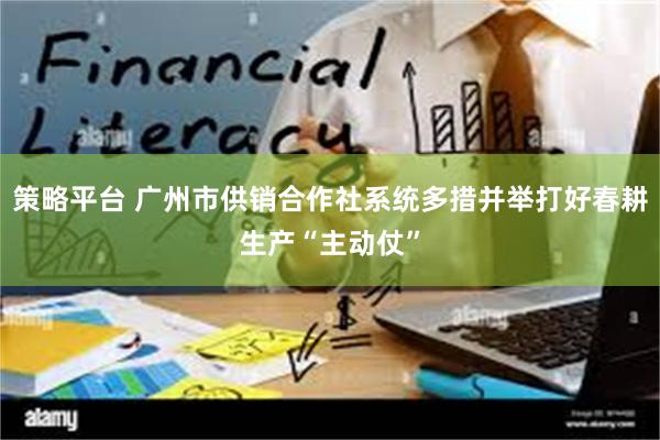 策略平台 广州市供销合作社系统多措并举打好春耕生产“主动仗”