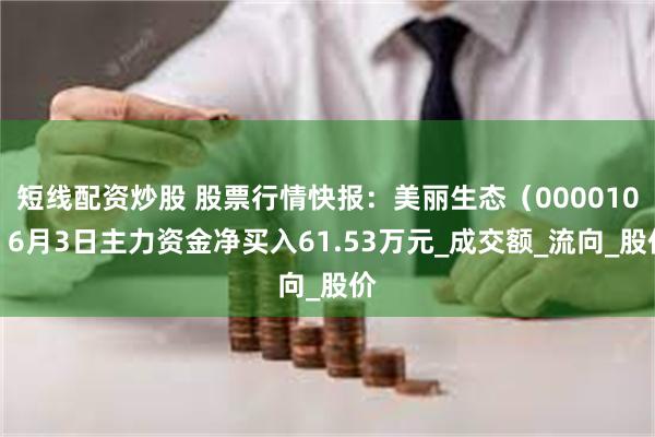 短线配资炒股 股票行情快报：美丽生态（000010）6月3日主力资金净买入61.53万元_成交额_流向_股价