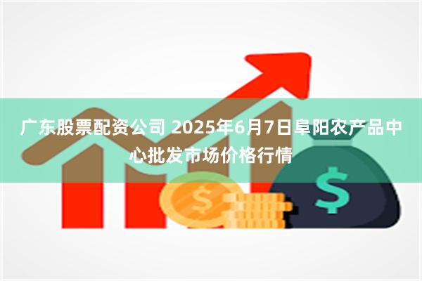 广东股票配资公司 2025年6月7日阜阳农产品中心批发市场价格行情