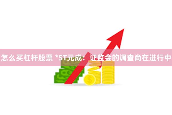 怎么买杠杆股票 *ST元成：证监会的调查尚在进行中