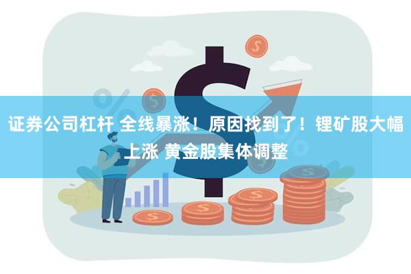 证券公司杠杆 全线暴涨！原因找到了！锂矿股大幅上涨 黄金股集体调整