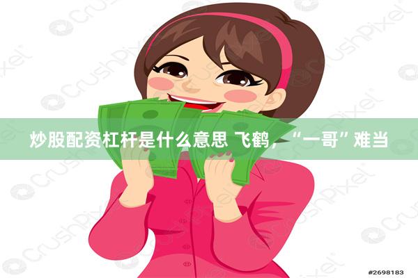 炒股配资杠杆是什么意思 飞鹤，“一哥”难当